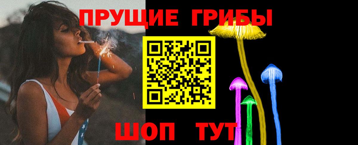 Псилоцибиновые грибы прущие грибы Белебей