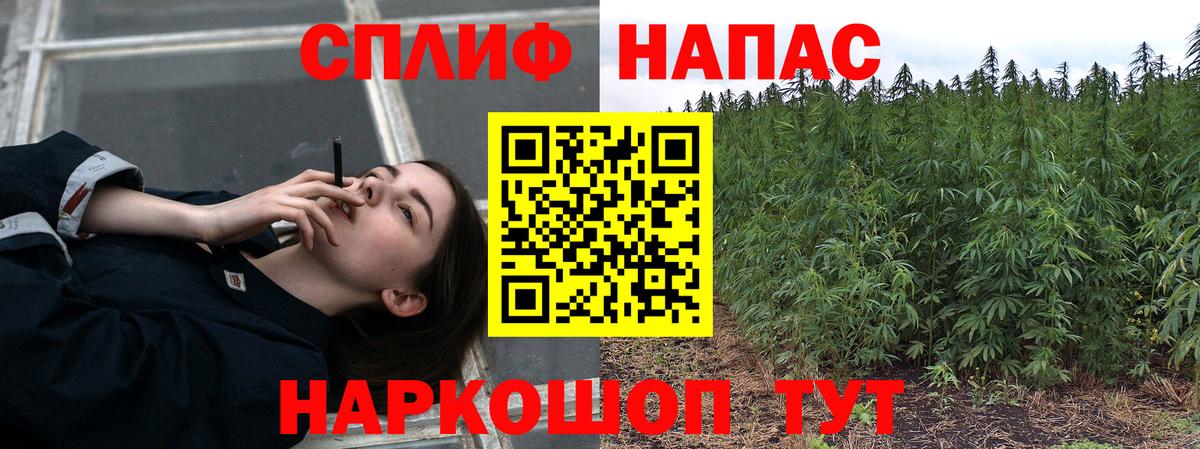 МАРИХУАНА White Widow  Вход с VPN  Белебей  МАРИХУАНА семена  МАРИХУАНА ГИДРОПОН 